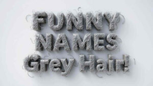 funny names for grey hair
