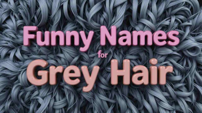 funny names for grey hair