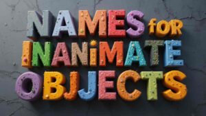 funny names for inanimate objects