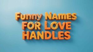 funny names for love handles