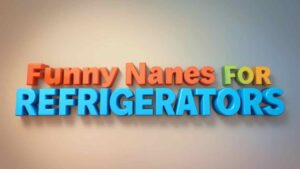 funny names for refrigerators