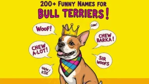 Funny Names for Bull Terriers