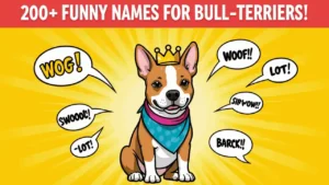 Funny Names for Bull Terriers