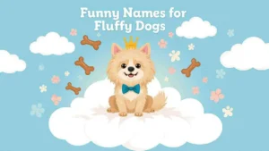 Funny Names for Fluffy Dogs