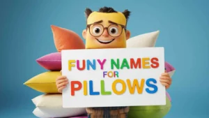 Funny Names for Pillows