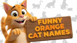 funny orange cat names