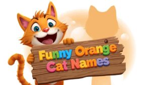 funny orange cat names